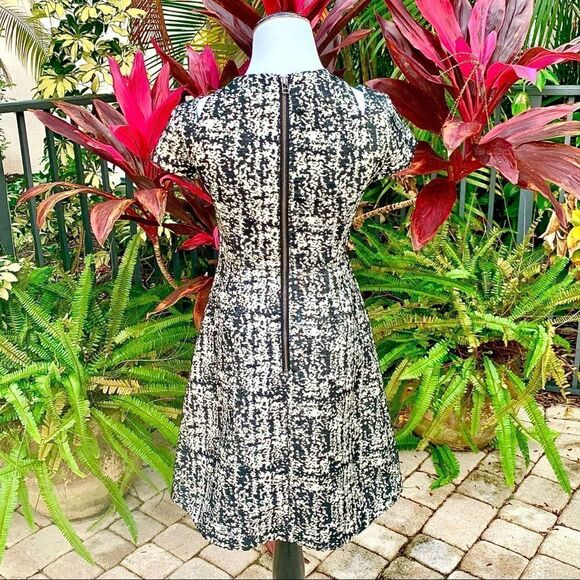 🍍3/$15🍍Brooklyn Industries Fit & Flare Dress - Picture 4 of 7